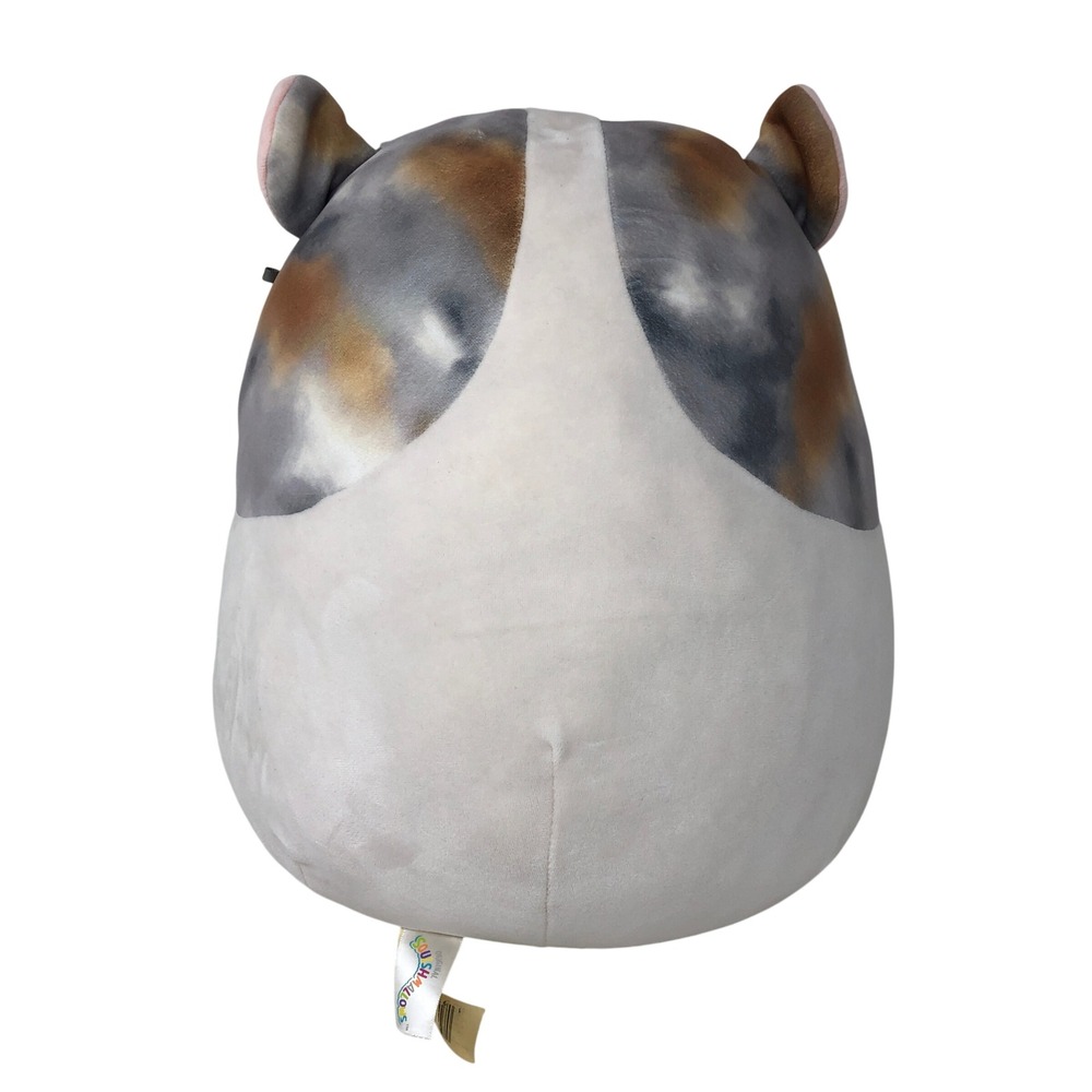 Squishmallows 12" Plush Pax Hamster Cream Calico Spotted‎ Stuffed Pillow Animal - Picture 3 of 6